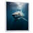 White Floater Framed