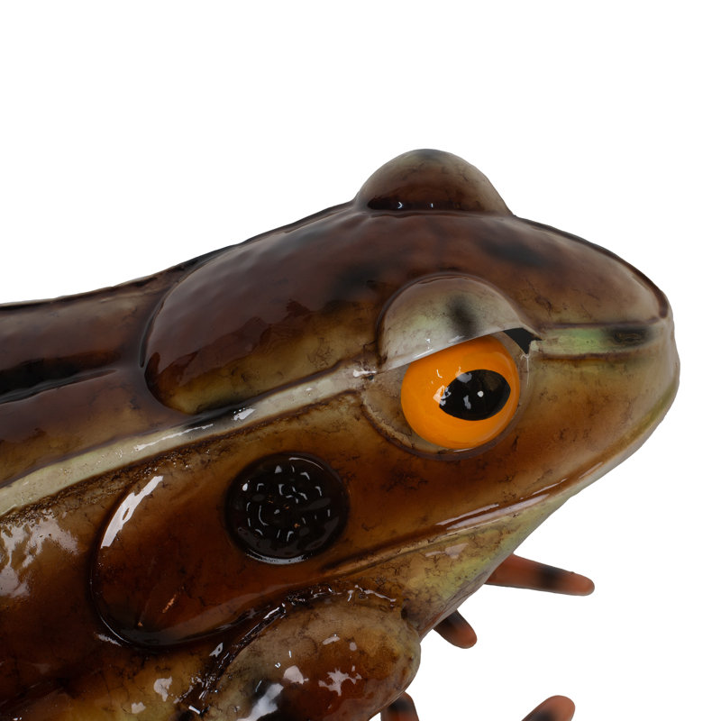 Statue de grenouille américaine en métal brun