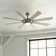 Rogers 68'' Ceiling Fan with LED Lights