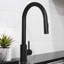 ZLINE Rubicon Pull Down Single Handle Kitchen Faucet in Matte Black-828154867