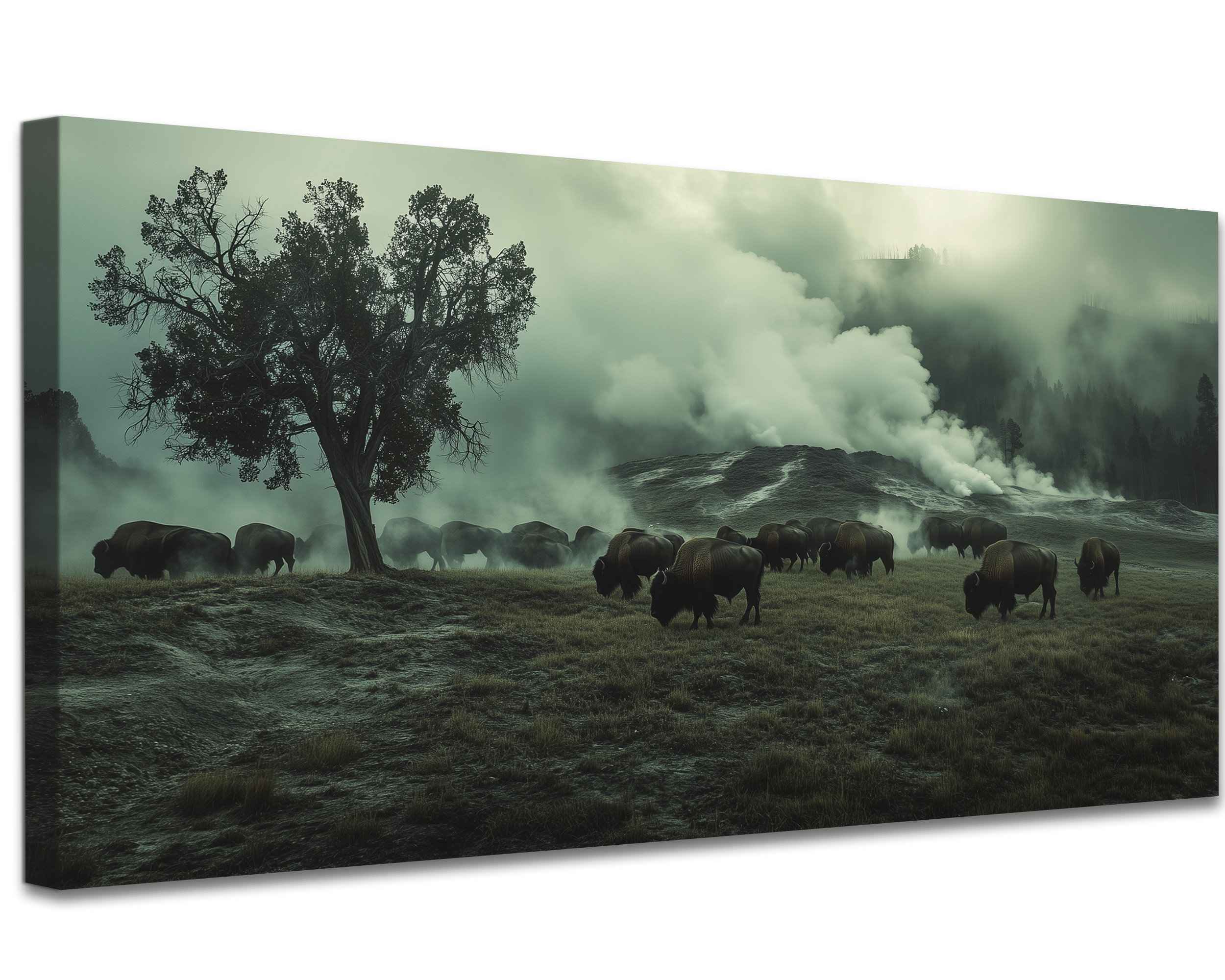 The Holiday Aisle® Large Bison Wall Art - American Buffalo Canvas Wall ...