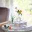 Jair Glass Table Vase-1541083353