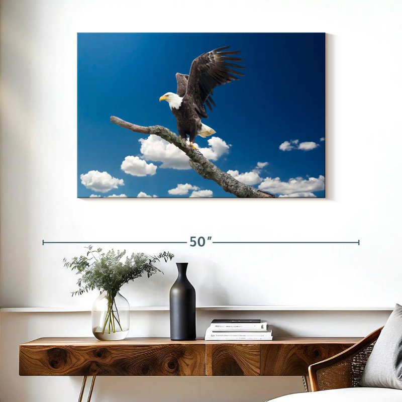 Brampt Majestic Texas Bald Eagle