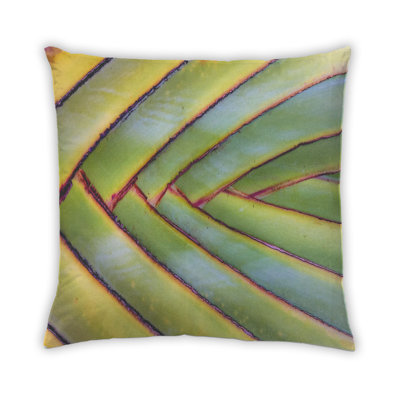 Coussin Plants Leaves 111
