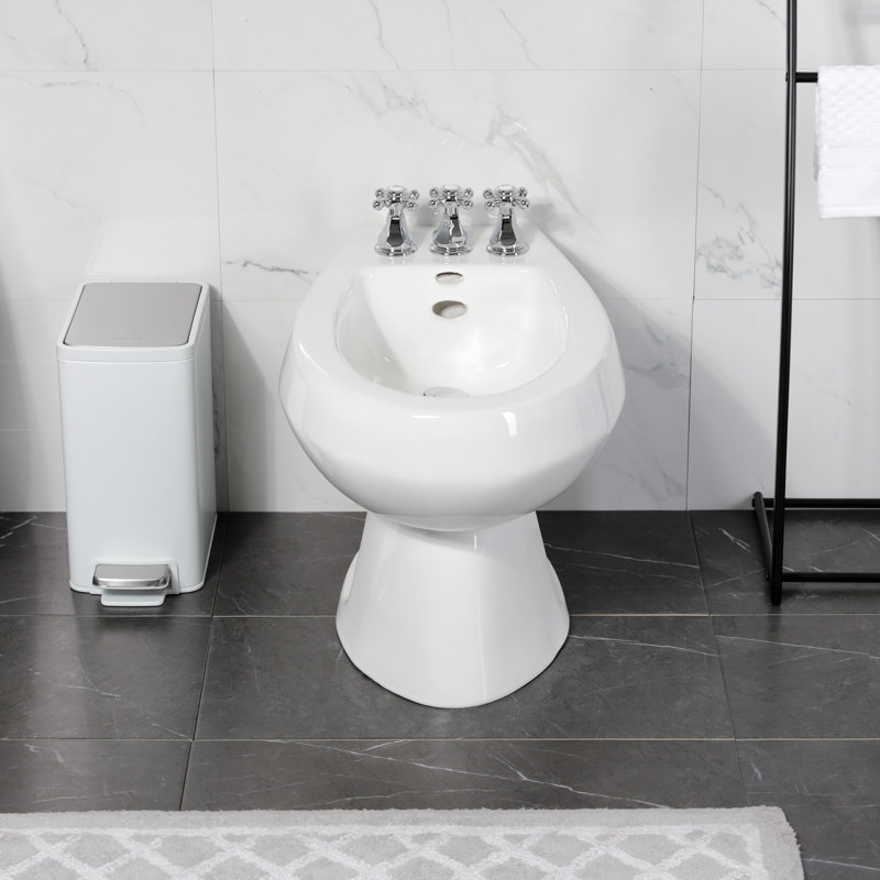 Robinet de bidet espacé vertical, Chrome poli