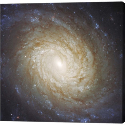 Fantasy & Sci-Fi Wall Decor on Canvas