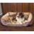 Paisley Polyester Pet Bed-45862426-45862427