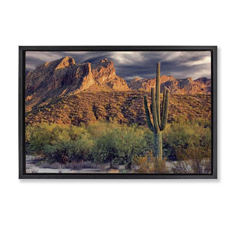 Cadre flottant haut et fort avec vue de cactus, design par Mike Jones, H 21 po x l 31 po, Cadre flottant noir de jais