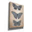 «Epic Graffiti« Vintage Butterflies Trio 1 »par Art Licensing Studio, art mural sur toile, 12 po x 18 po