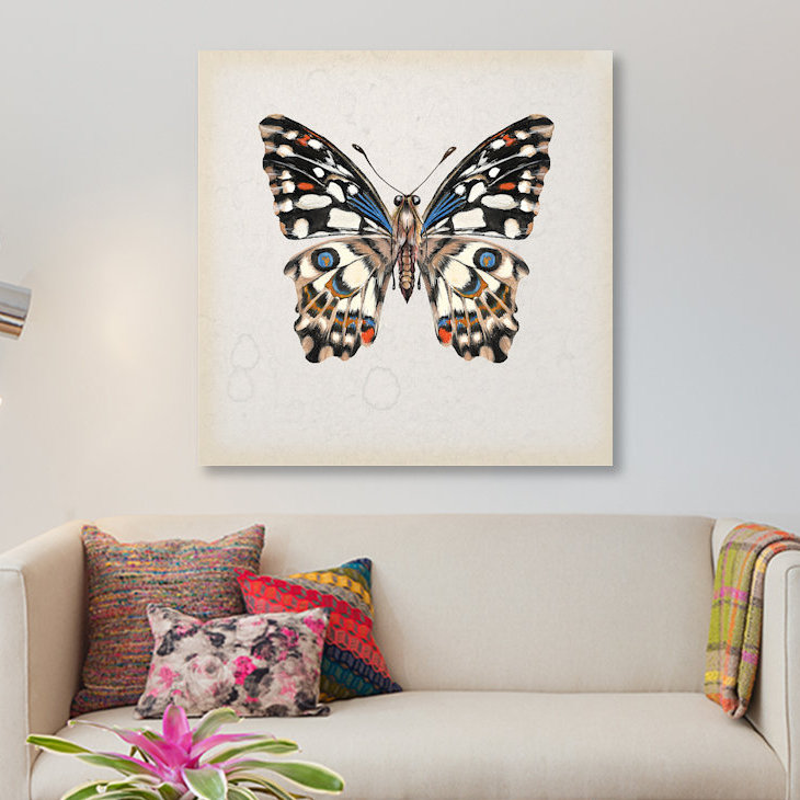 « papillon study ii », impression sur toile, H 12 po x l 12 po x P 1,5 po, Pas de tapis, Toile tendue