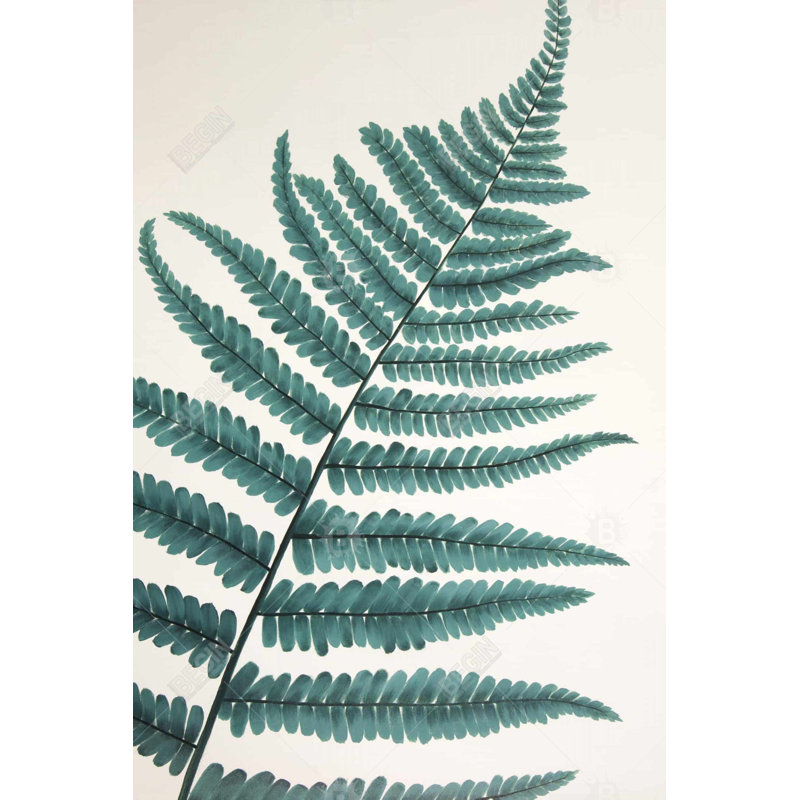 Beautiful fern - Toile de chambre verte pour la décoration intérieure