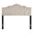 Jalia Upholstered Headboard-2053480434-2053480433
