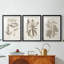 Antique sépia botanicals VI - reproduction encadrée sur mesure de qualité supérieure - 3 pièces