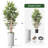 Artificial Tree in Geometric Pattern Planter Fake Bamboo Silk Tree (Plant Pot Plus Tree)-103593090