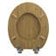 East Urban Home Premium Toilet Seat Toilet Seat With Soft Close, MDF Wood Core, Softclose Hinge, Antibacterial, Design Decor-244419517