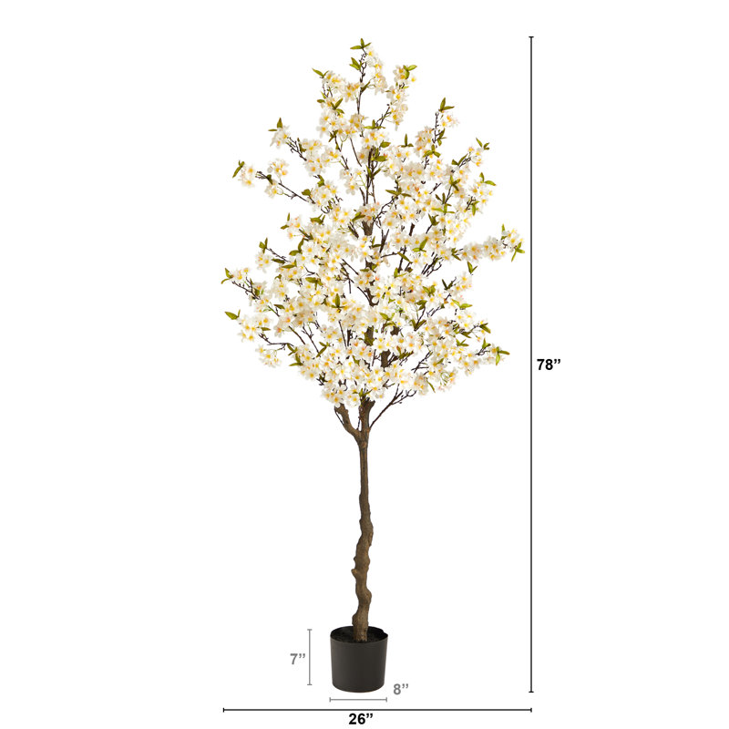 Tree in Pot Liner