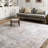 Dereck Oriental Silver/Slate Area Rug -1421845285