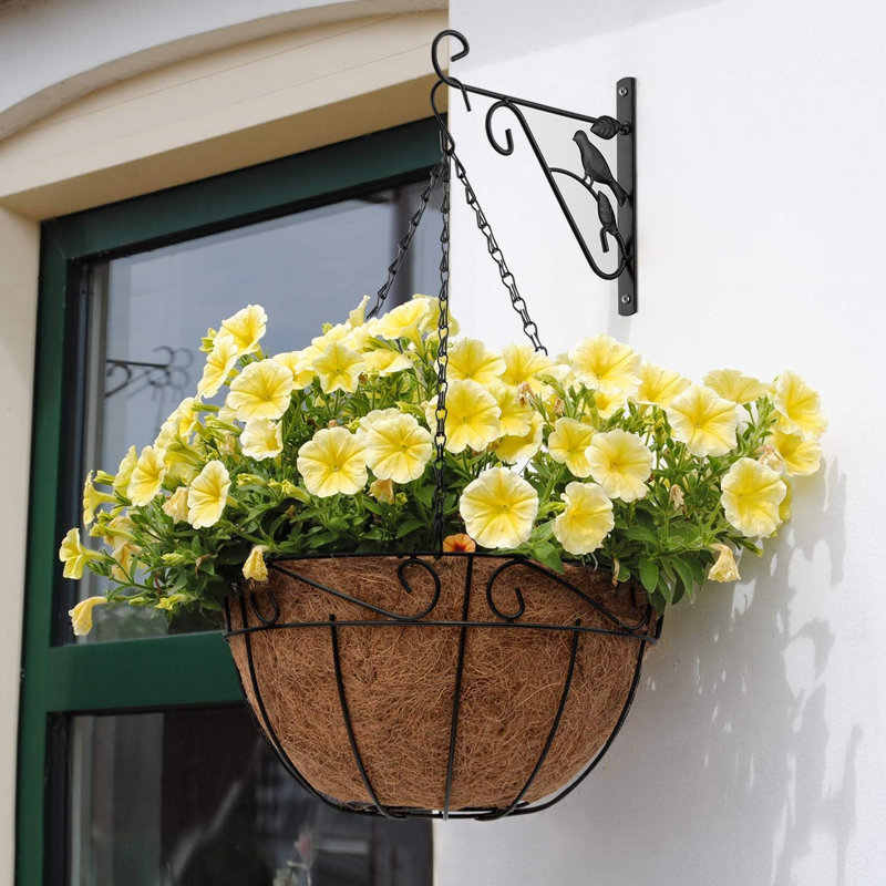 Ensemble de 2 plantes suspendues Alverto