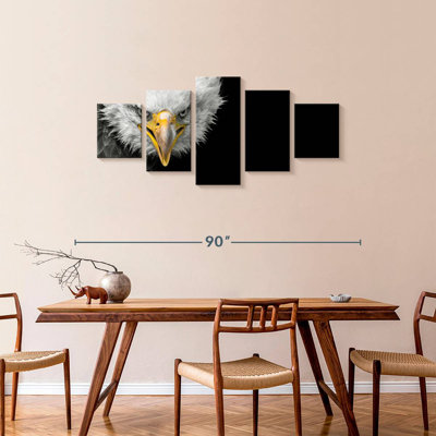 North American Bald Eagle