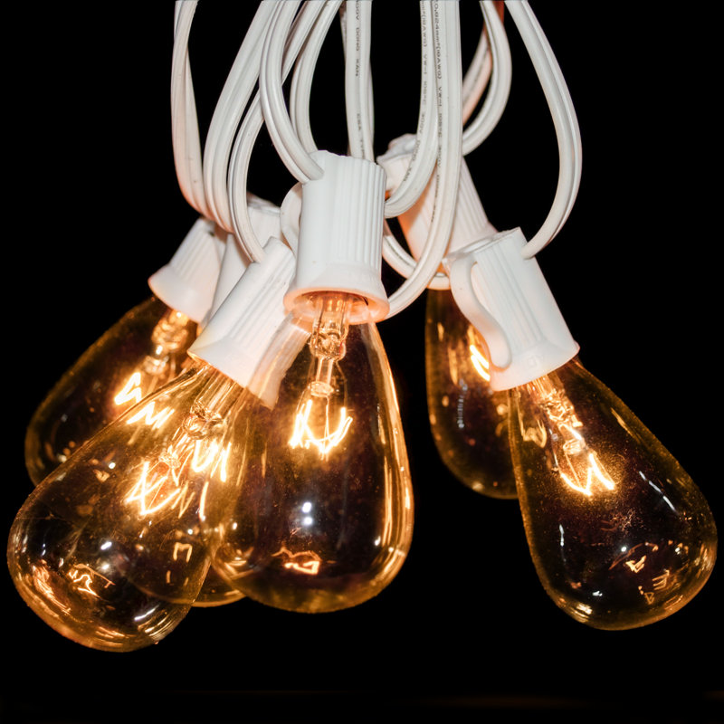 Edison String Lights Outdoor Plug-in String Light, White, 600" L