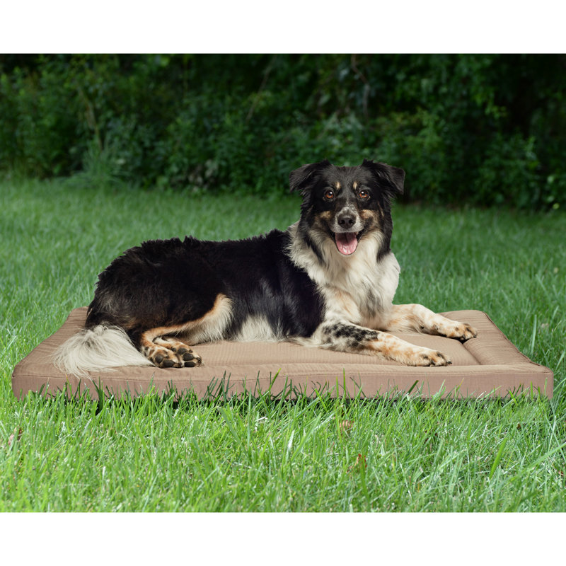 Tapis de voyage pour chat et chien Brunelle, Petit (l 29 po x p 19 po x H 2 po), Moka