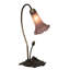 Allengrove Arched Table Lamp