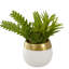 Arrangement succulent artificiel en pot 6,5 po
