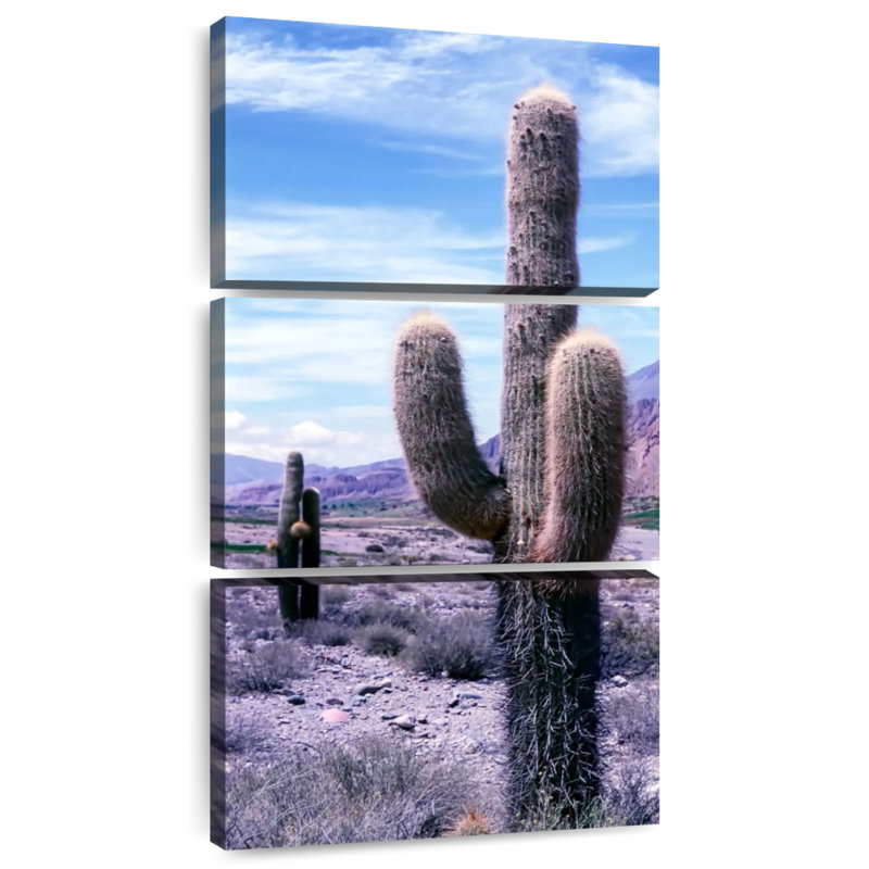Cactus exotique, H 27 po x l 12 po