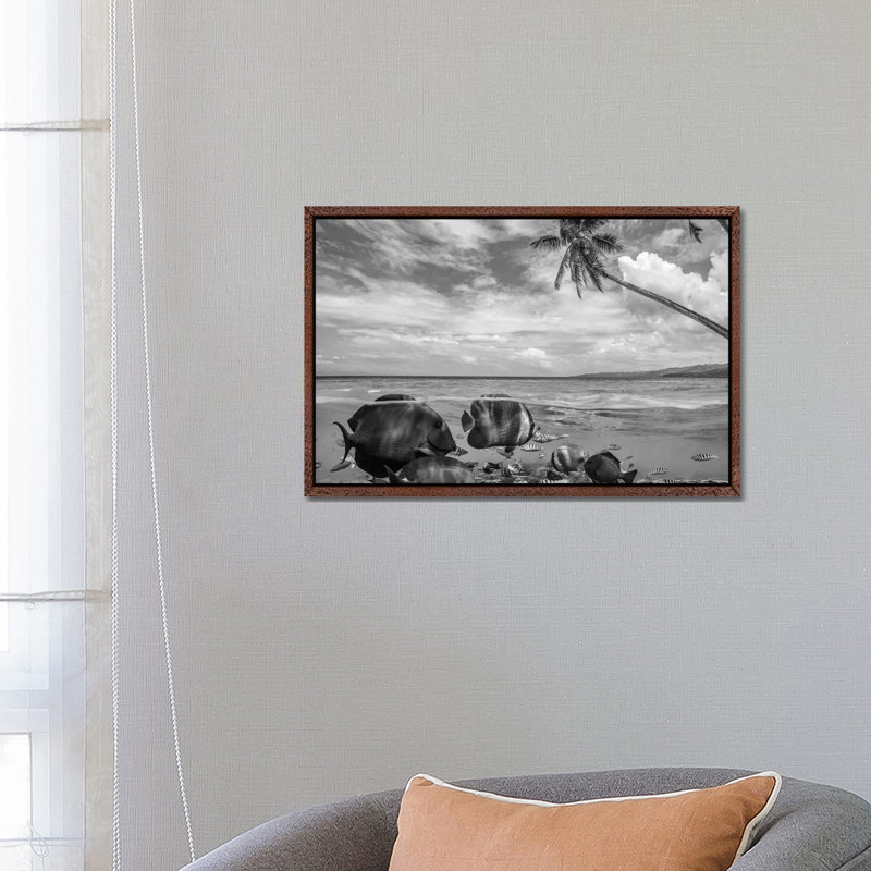 Butterflyfish Mixed Group Near Beach, Siquijor Island, Philippines, Composite Image by Tim Fitzharris - Gallery-Wrapped Canvas Giclée on Canvas