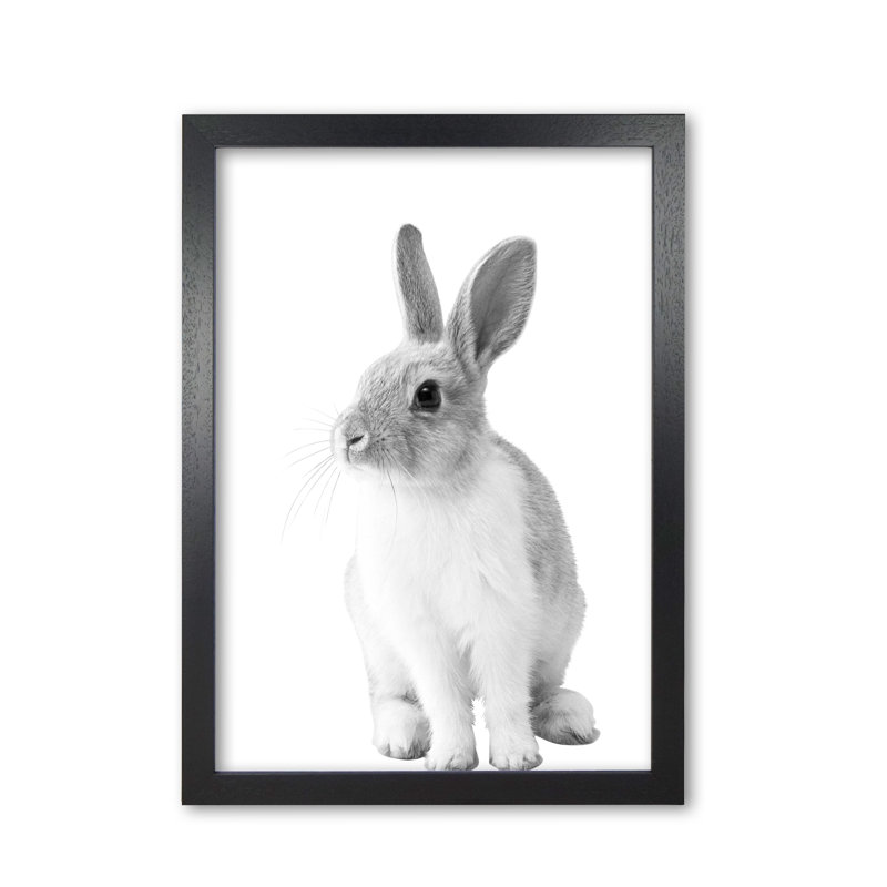Bunny - Print, Black Grain Frame, 42 cm H x 30 cm W x 5 cm D