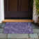 Paisley Indoor / Outdoor Rug