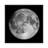 Full Moon by Roth Ritter - Print on Canvas-1341488664-1341488742