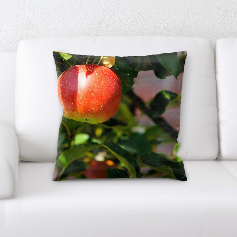 Coussin d’arbre pomme