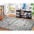 Lyniya Vintage Performance Oriental Rug-21734665