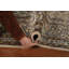Tapis persan traditionnel Kashan