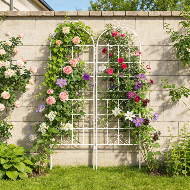 Paquet de 2 treillis de jardin en métal - H 71 po x l 19,7 po support de plantes antirouille pour les fleurs, les légumes et l'extérieur