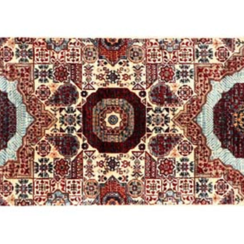 Aryana Wool Oriental Area Rug