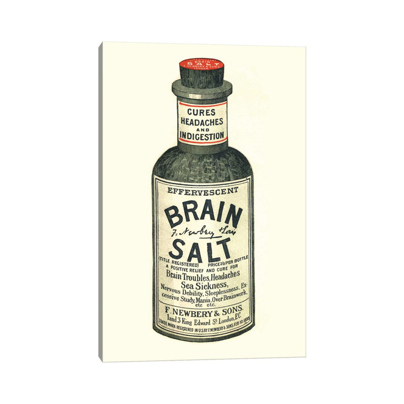 1890s Brain Salt Magazine - Print on Canvas, Wrapped Canvas, 66.04 cm H x 45.72 cm W x 1.91 cm D