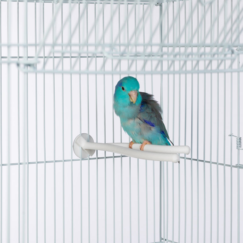 Small Y Shaped Plastic Bird Perch