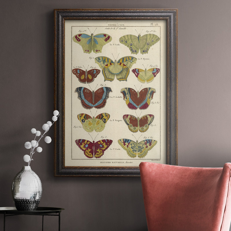 Histoire Naturelle Butterflies V, toile encadrée de qualité supérieure - prête à être accrochée, H 20 po x l 16 po x P 2,5 po