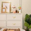  Brass Arch Pull Multipack