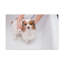 No Frame Print on Canvas