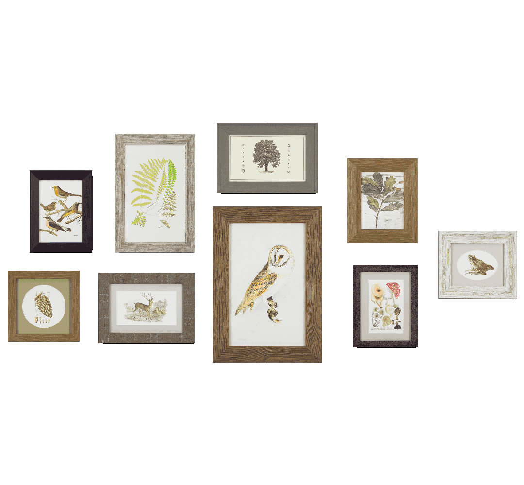 Woodland Collection - 9 Piece Picture Frame Graphic Art Print Set on Paper