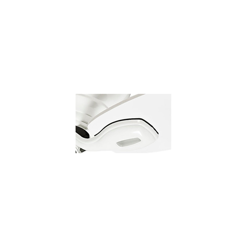 54" Durant 5 - Blade Flush Mount Ceiling Fan with Pull Chain