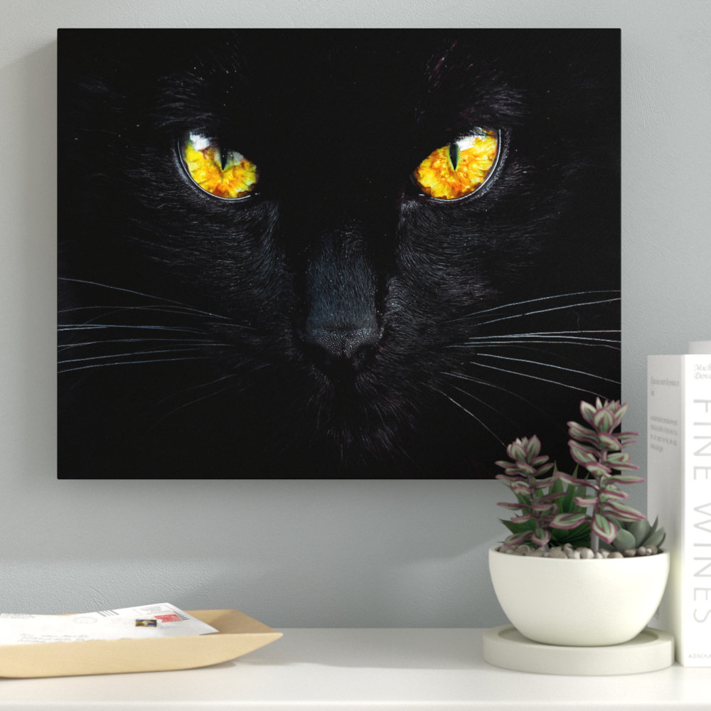 " The Hypnotist Of The Night " Ebern Designs 