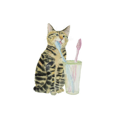 " Tabby Cat Brushing Teeth " by Alexey Dmitrievich Shmyrov Painting Print