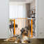 Barrière pour chien