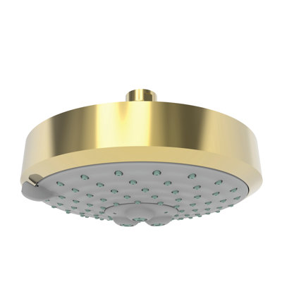Multi Function Fixed Shower Head