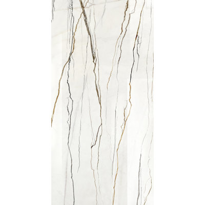 Carreau de porcelaine poli 24 po x 48 po Uproot Borneo