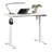 Ergonomic Sit/Stand Desk With Memory Preset Heights